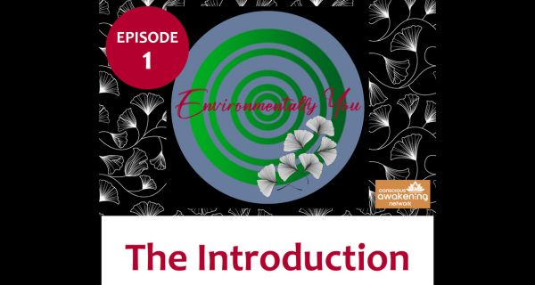 Episode 1: Introducing En